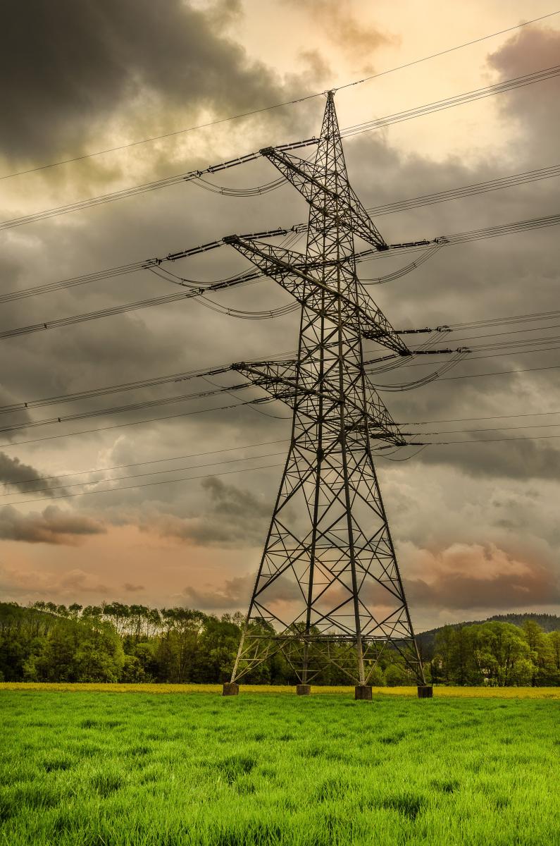 Textfeld: © Peter Hill/ www.pixelio.de 